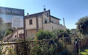 Agriturismo Il Vecchio Olivo
