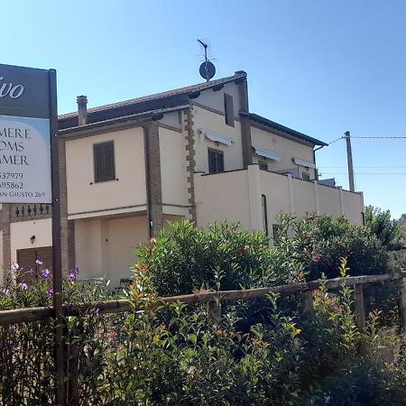 Agriturismo Il Vecchio Olivo Castagneto Carducci Buitenkant foto