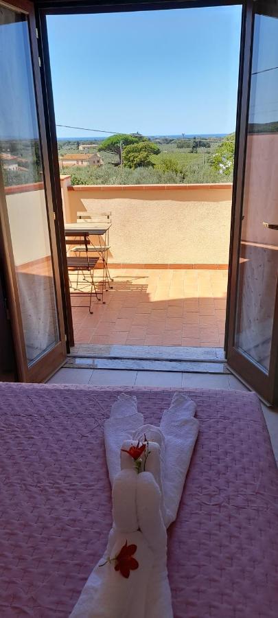 Agriturismo Il Vecchio Olivo Castagneto Carducci Buitenkant foto