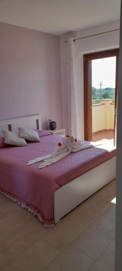 Agriturismo Il Vecchio Olivo Castagneto Carducci Buitenkant foto