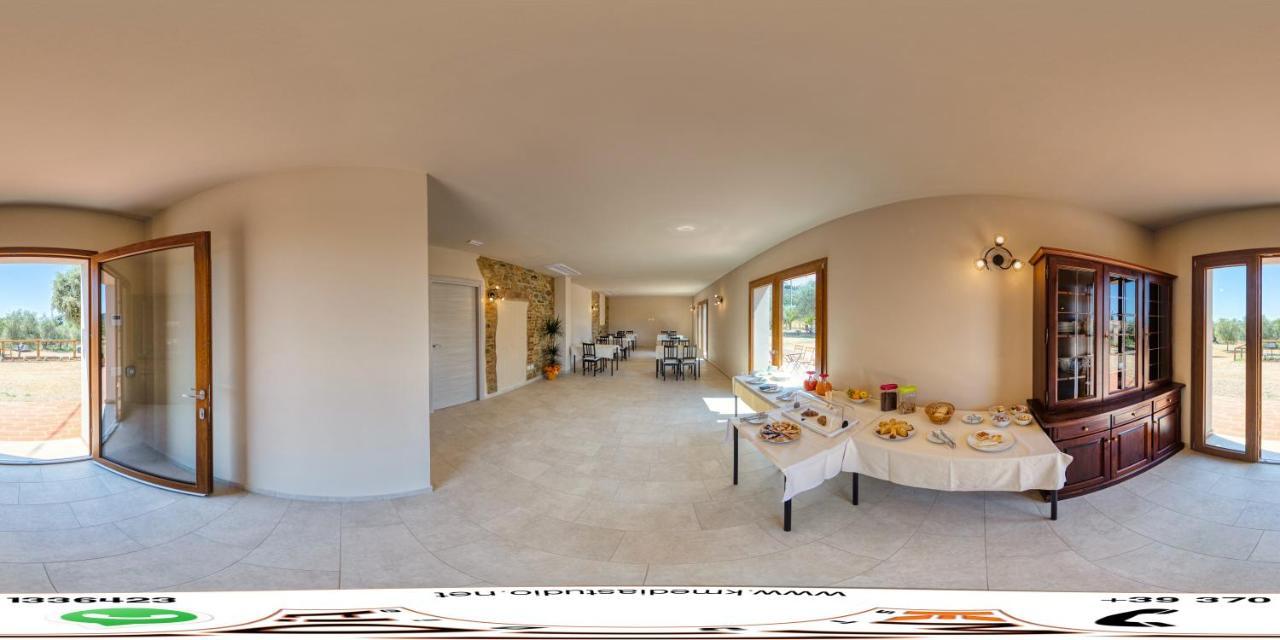 Agriturismo Il Vecchio Olivo Castagneto Carducci Buitenkant foto