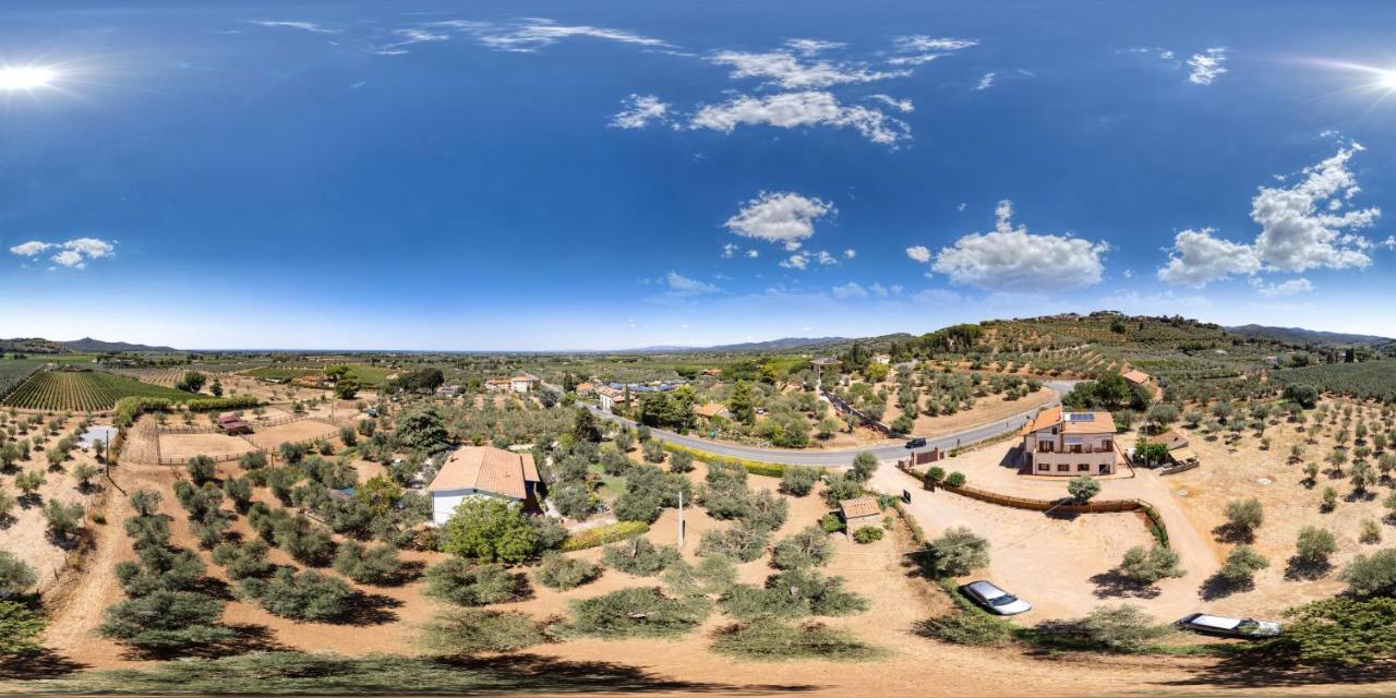 Agriturismo Il Vecchio Olivo Castagneto Carducci Buitenkant foto