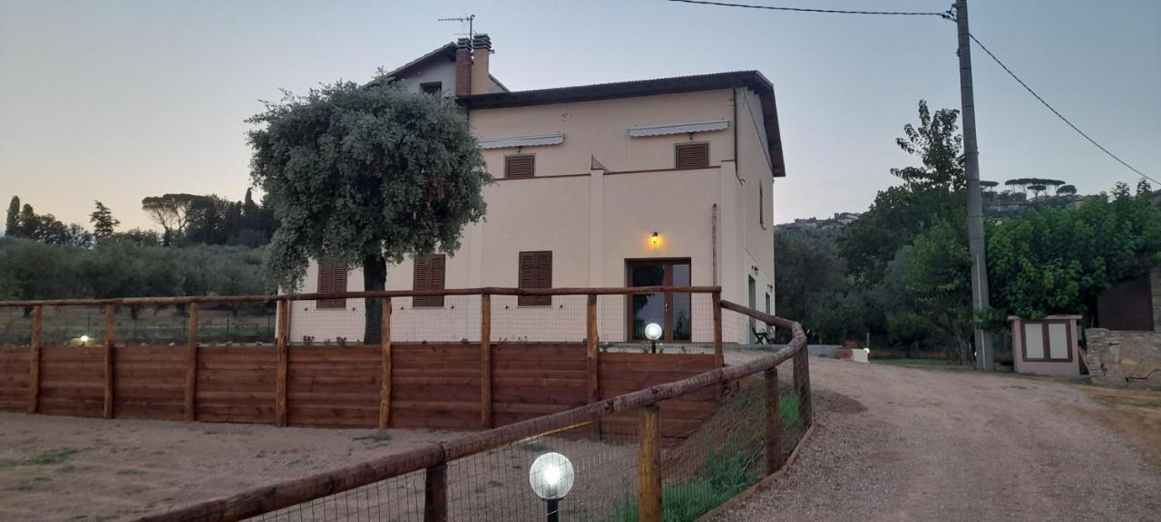 Agriturismo Il Vecchio Olivo Castagneto Carducci Buitenkant foto