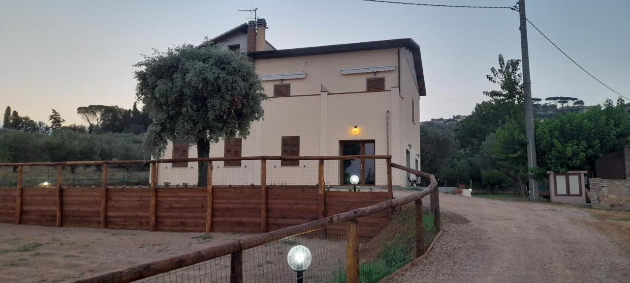 Agriturismo Il Vecchio Olivo Villa Castagneto Carducci Buitenkant foto