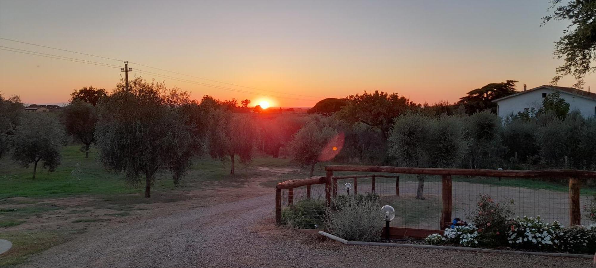 Agriturismo Il Vecchio Olivo Castagneto Carducci Buitenkant foto