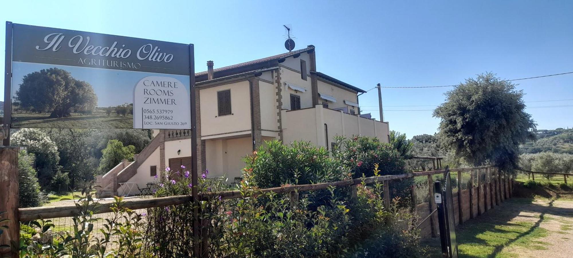 Agriturismo Il Vecchio Olivo Castagneto Carducci Buitenkant foto